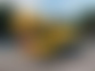 🏴🏴🏴 New crane alert 🏴🏴🏴