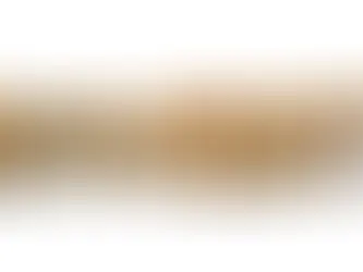 Wie wähle ich ein Unternehmen aus? Kauf von STORE Capital (Teil 1)