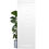 Thumbnail: door interior swingning