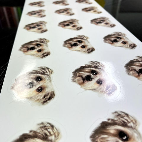 A page of contour cut dog stickers.