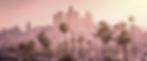 AdobeStock_161668312_edited.jpg