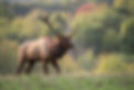 AdobeStock_409790809.jpeg