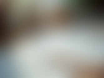 Cómo Construir un Portafolio Profesional Impactante