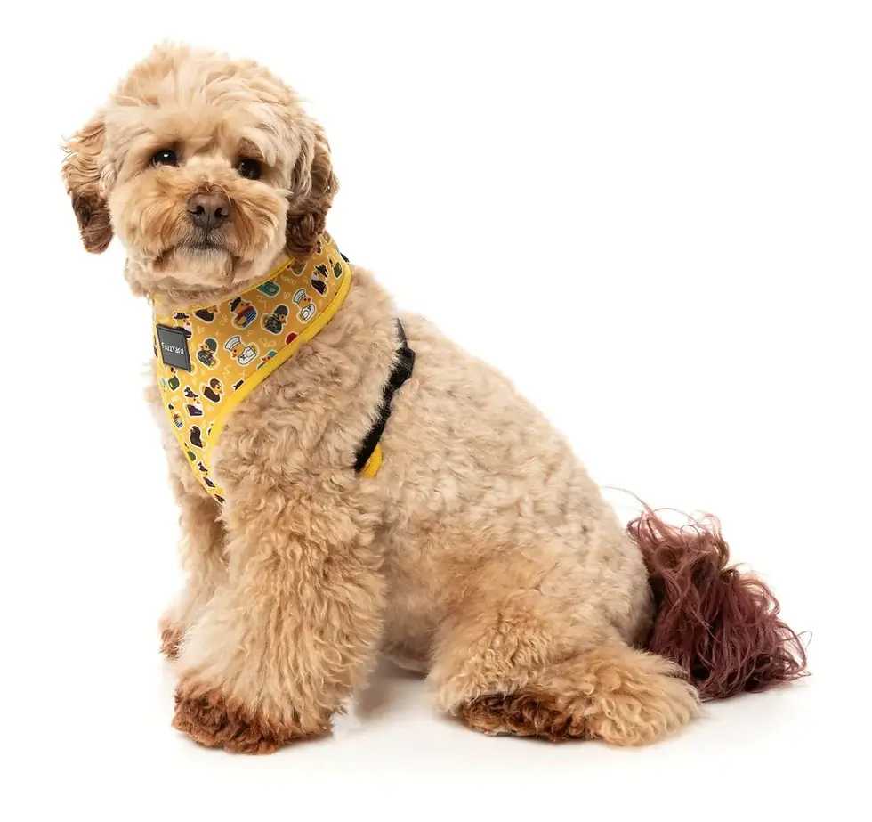 Thumbnail: What The Duck Dog Harness