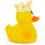 Thumbnail: Queen Duck