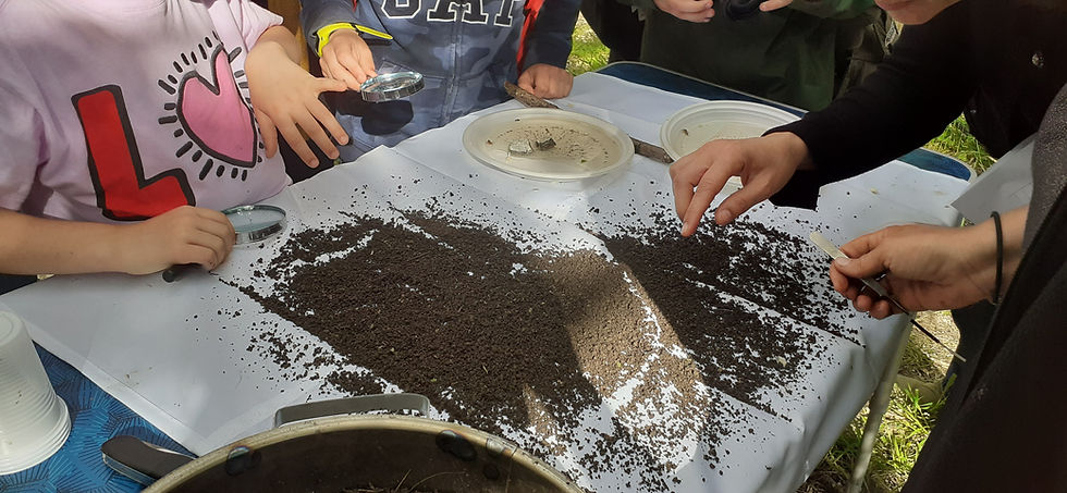 Participants examine soil samples | Credit: SSSA