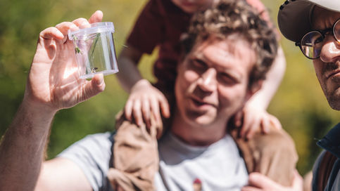 Luxembourg Bioblitz 2024