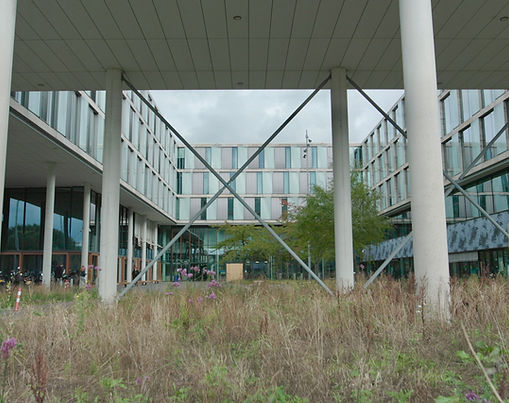 The Institute for Biodiversity and Ecosystem Dynamics 