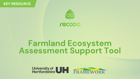 New on Recodo: FEAST DST