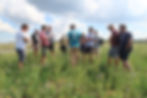 Farmers in the project's Czech Cluster | Czech Organics/CULS