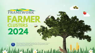 Farmer Clusters 2024 Wrapped