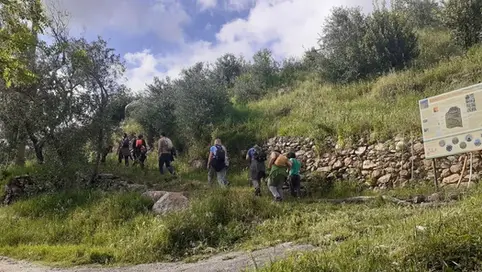 Monte Pisano Bioblitz 2024