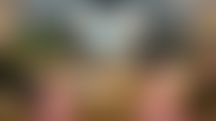 Wild flowers, cover crops and cake