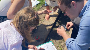 Mini-BioBlitz event for Burgenland Cluster Farmers 