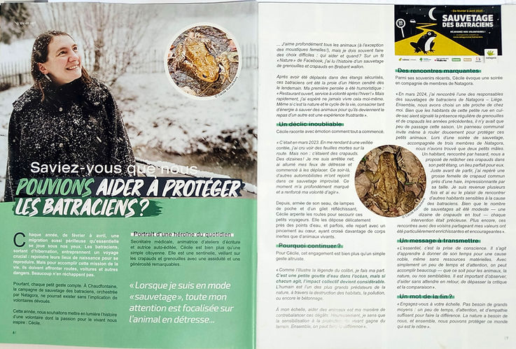 photo de l'article d'un journal