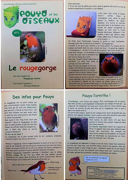 Pouyo et les oiseaux 1_edited.jpg