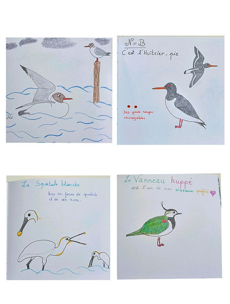 mes dessins oiseaux eau_edited.jpg