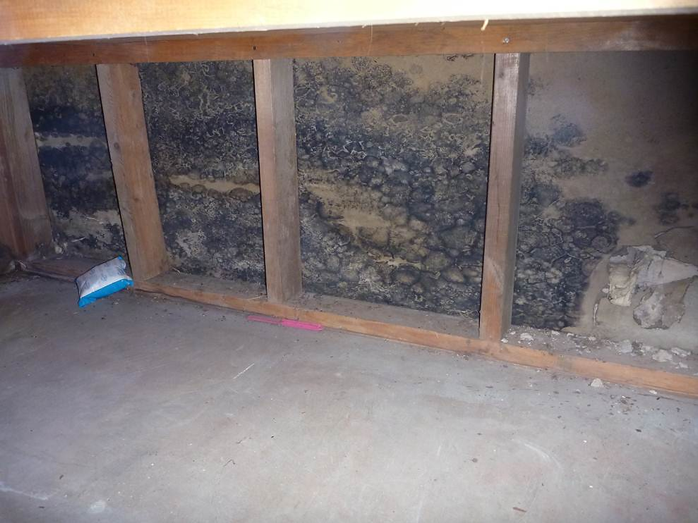 Mold found inside a wall during a home inspection in Phoenix.