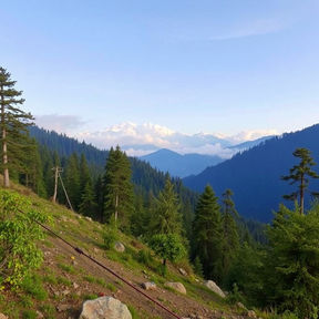 Chail Trek | About Trek, Best Places For Trekking & Activities