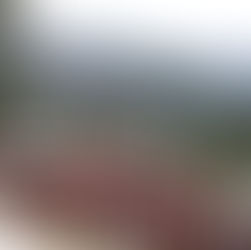 Places to visit in Shimla and Manali