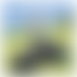 Golf Gear Must-Haves for an exclusive Golf vacation to Australia