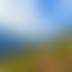 Work From Mountains: India’s 9 Affordable Places for Workation