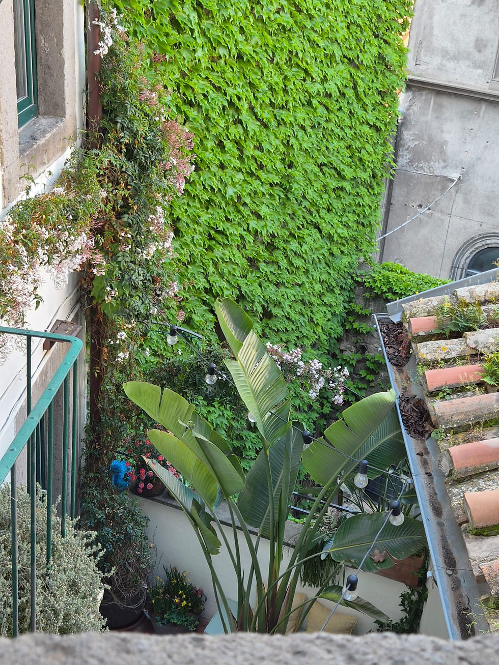 Affaccio su un verde lussureggiante