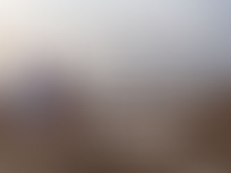 🌍 Journée Mondiale de l’Environnement 2024