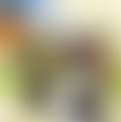 Les Prouesses de l'Agro-industrie en Afrique