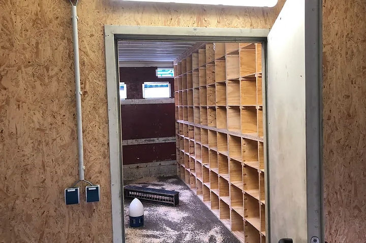 Fertig ausgebauter Container für den Taubenschlag. Tierschutzkonforme Reduzierung von Tauben.