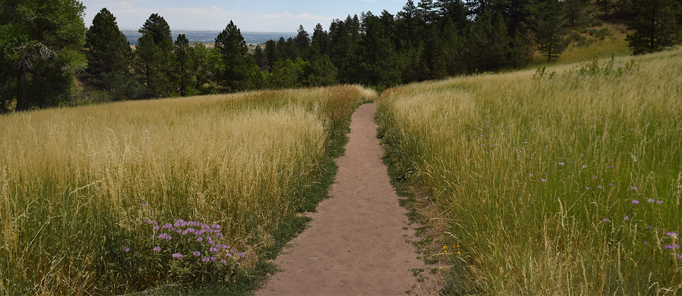 20200713 Arthurs CloudDSC_0112__edited_edited.png