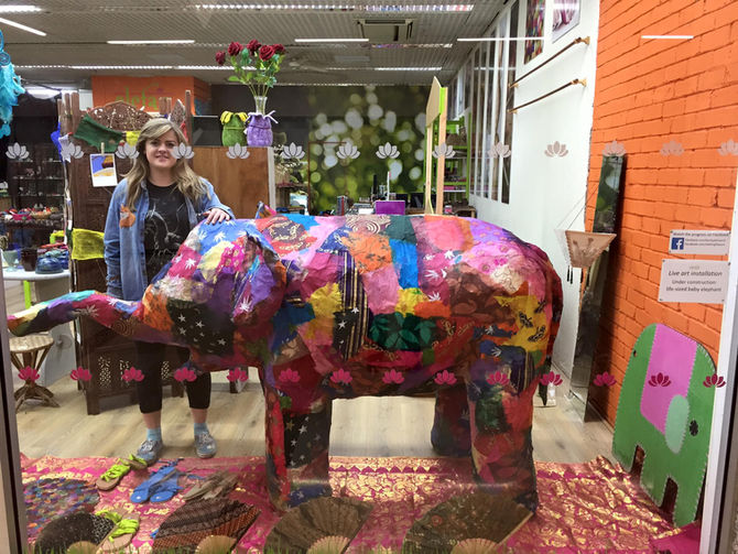 Project Elephant
