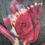 Thumbnail: Ion Crimson - Size Large
