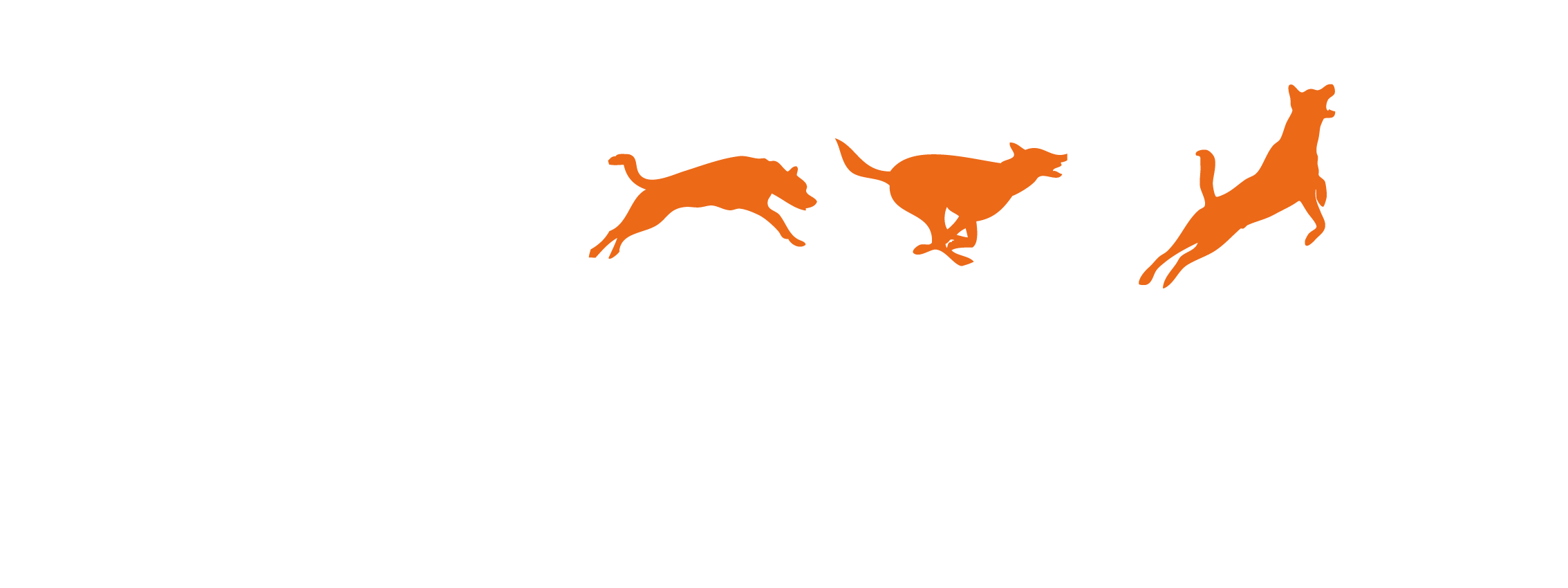 LOGO CANEMOTION Grenoble- Sports canins, osthéopathie, hydrothérapie canine 