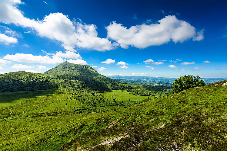 AdobeStock_468515208.jpg