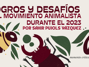 Logros y desafíos del movimiento animalista durante el 2023