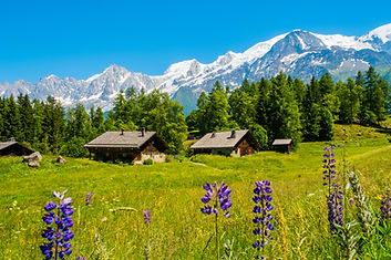 AdobeStock_163825820-web.jpg