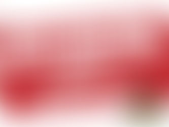 Declaración sobre la situación en Haití