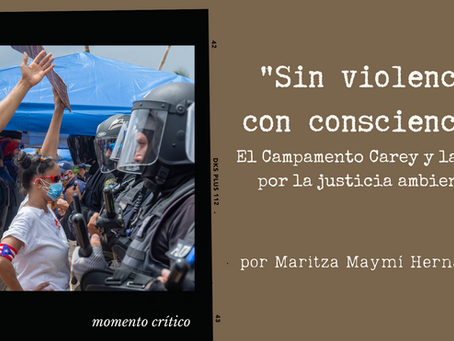 “Sin violencia, con consciencia”. El Campamento Carey y la lucha por la justicia ambiental