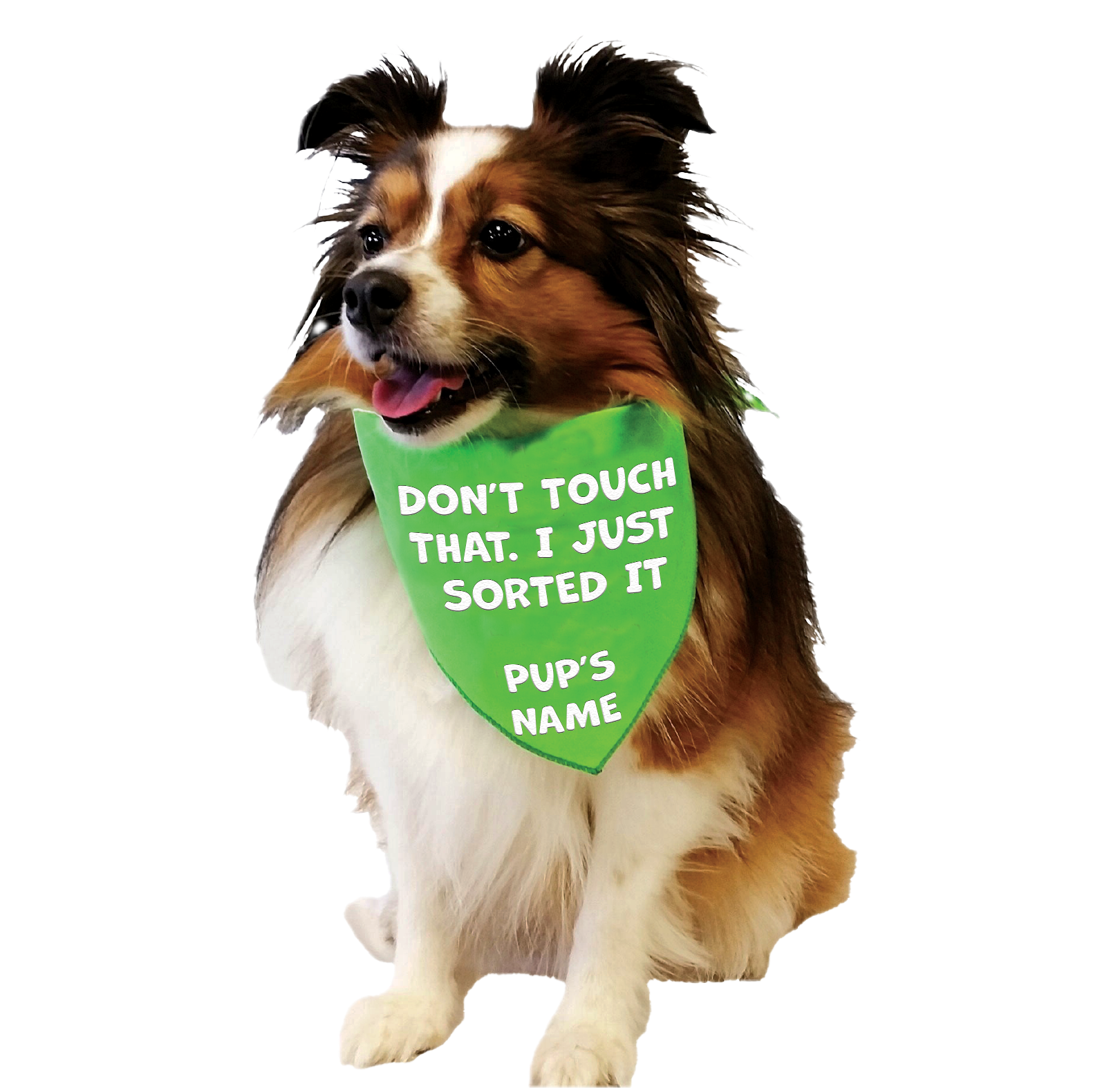 Don't Touch That! I Just Sorted It.