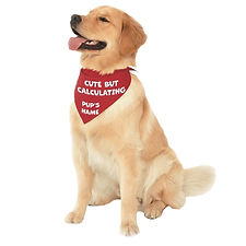 CUTE BUT CALCULATING_edited.jpg