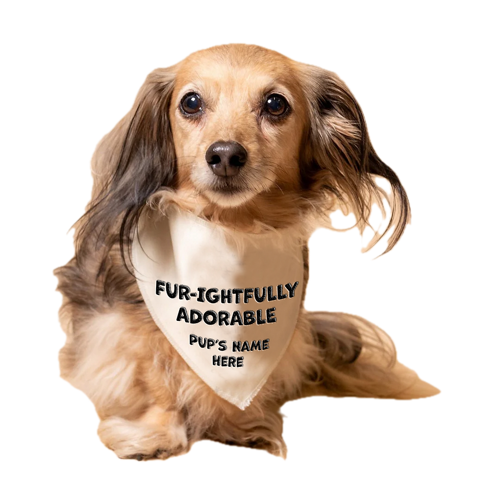 Fur-ightfully Adorable