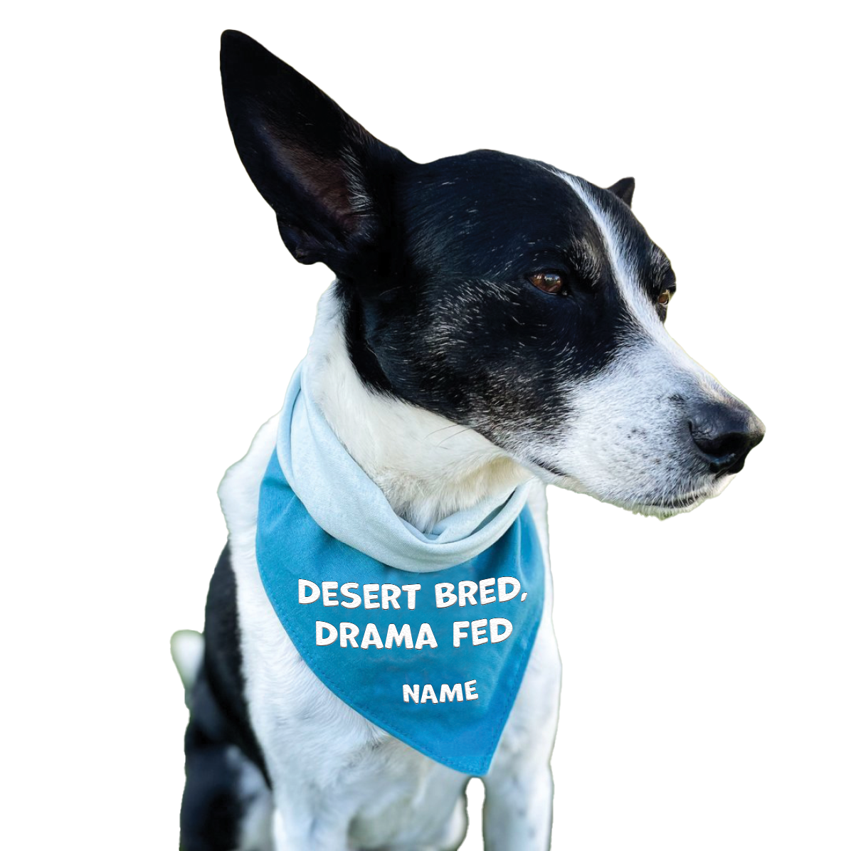 Desert Bred. Drama Fed.