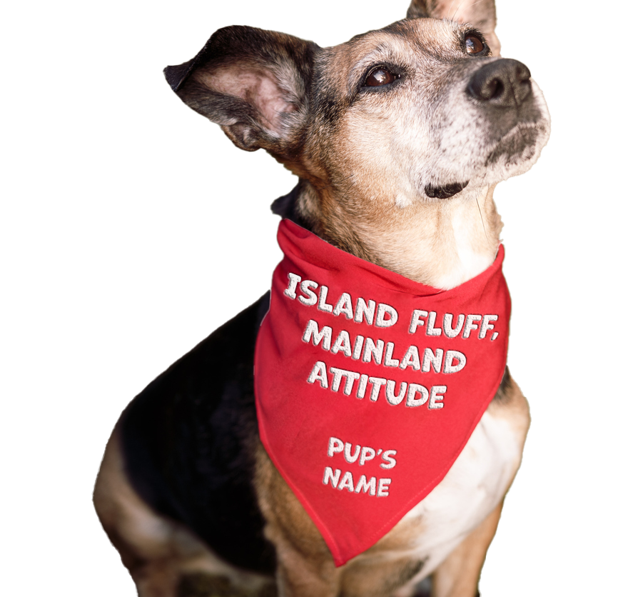 Island Fluff, Mainland Attitude.