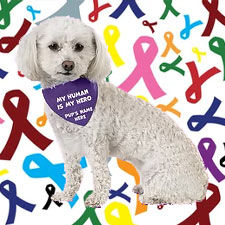 dog bandana cancer awareness