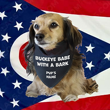 dog bandana Ohio