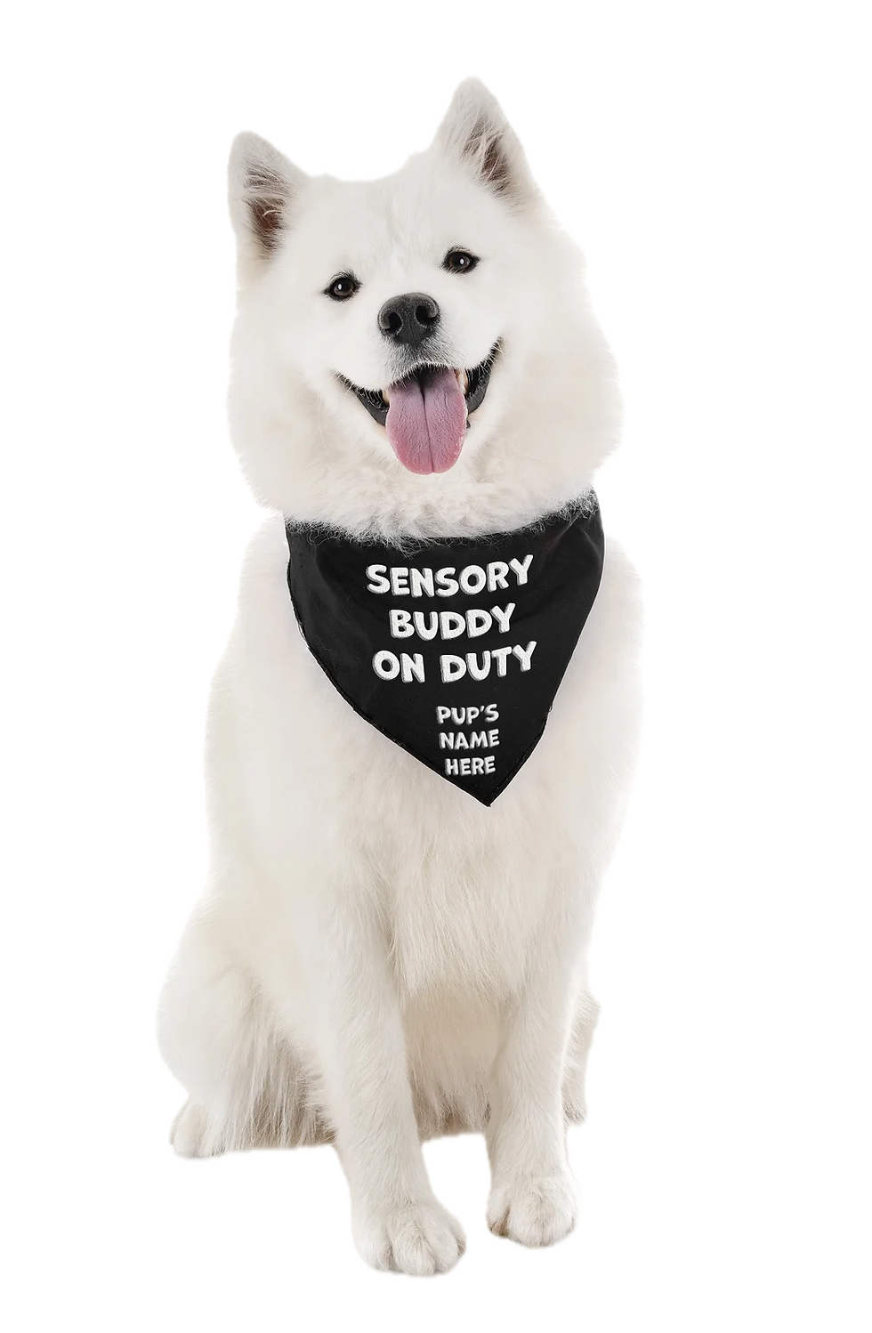 Sensory Buddy