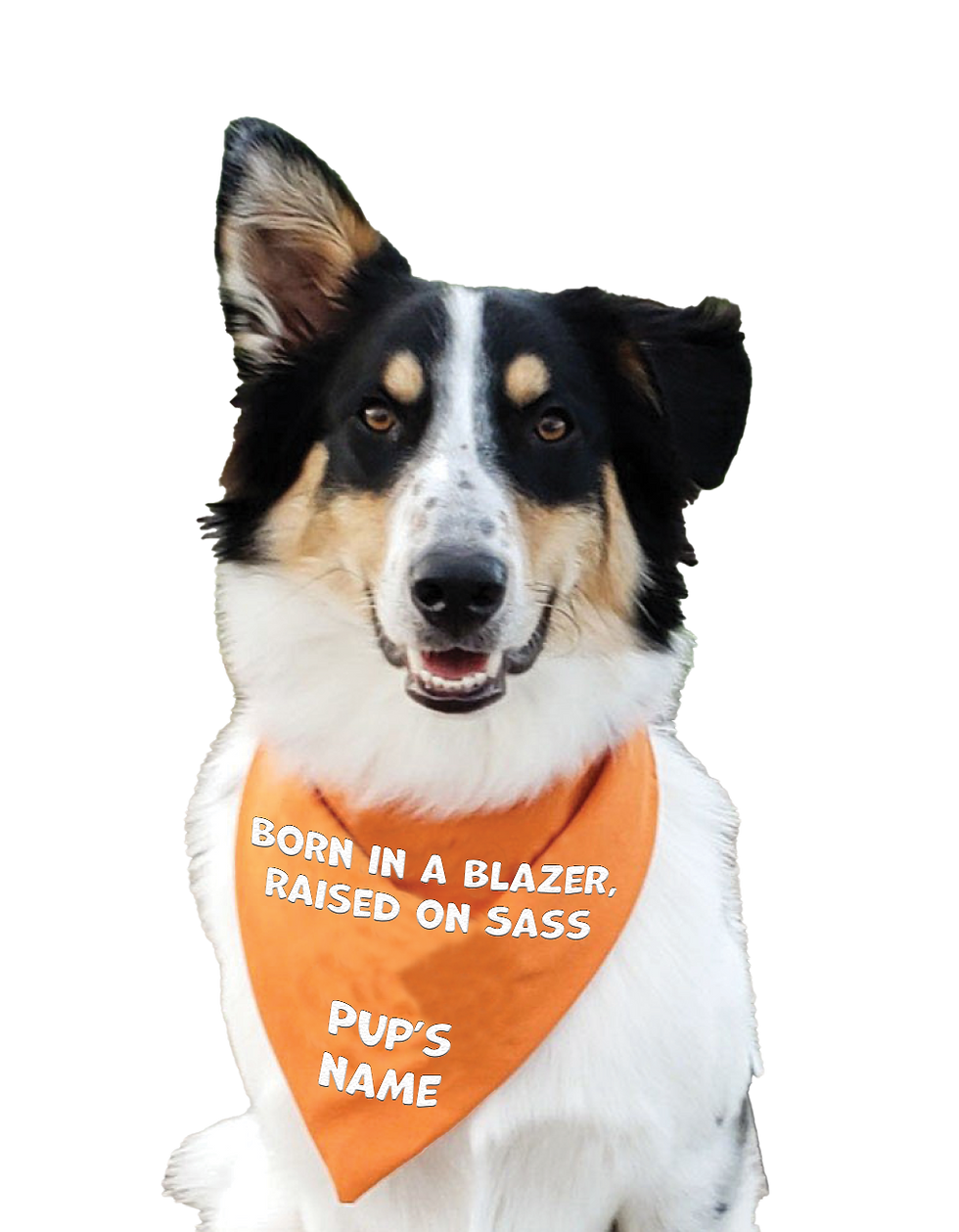 Born In A Blazer, Raised On Sass.