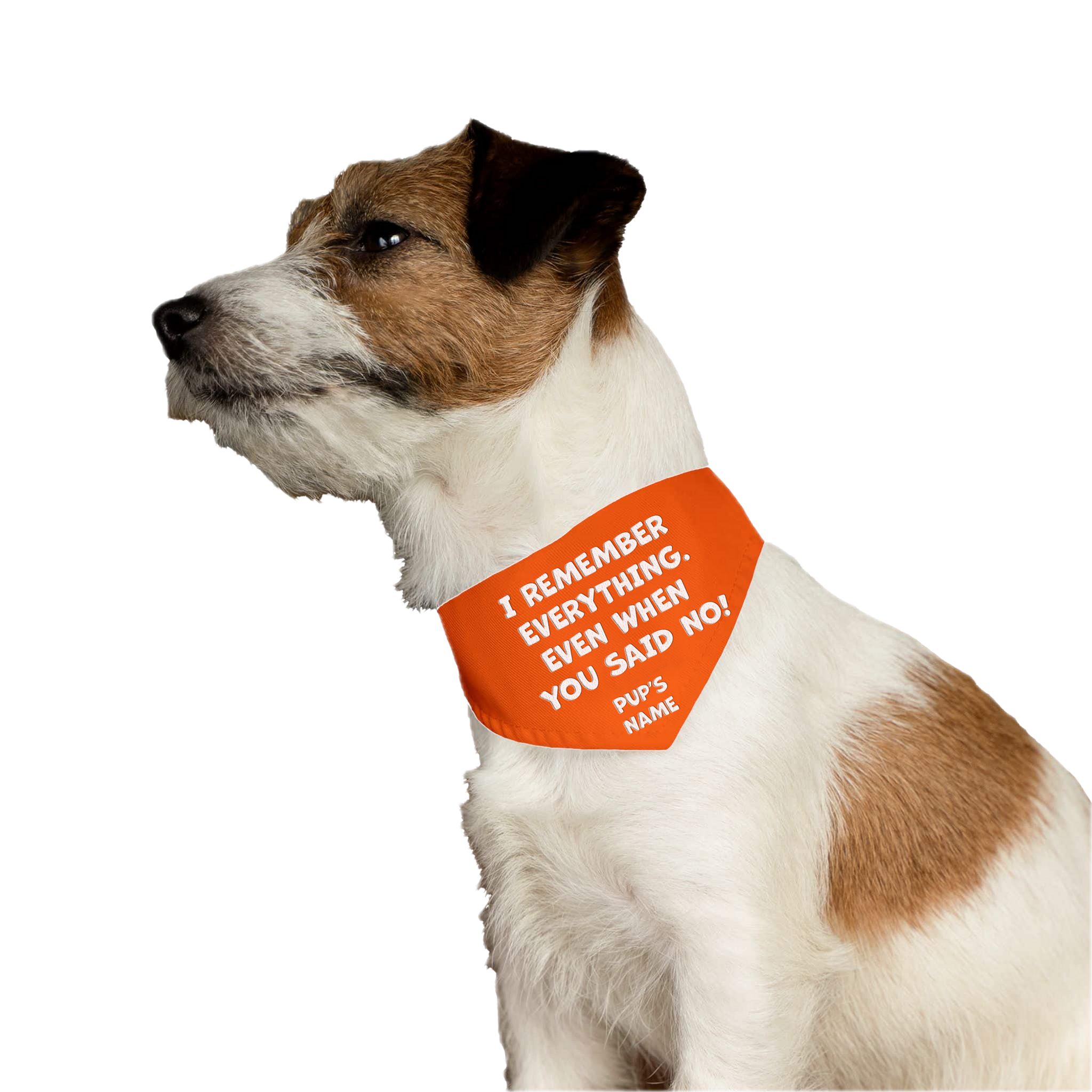 I Remember Everything. Even That Time You Said No.