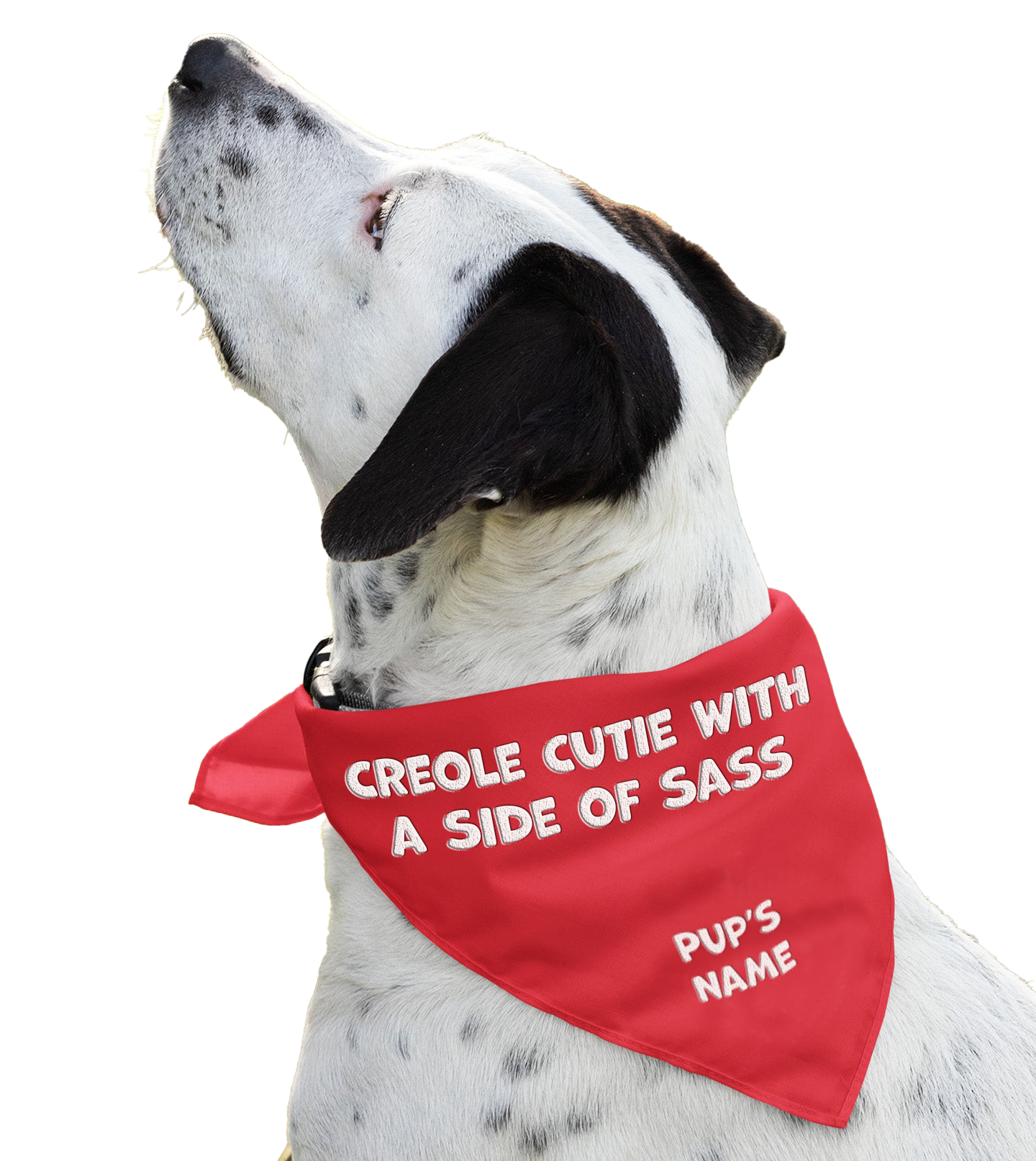 Creole Cutie With A Side Of Sass